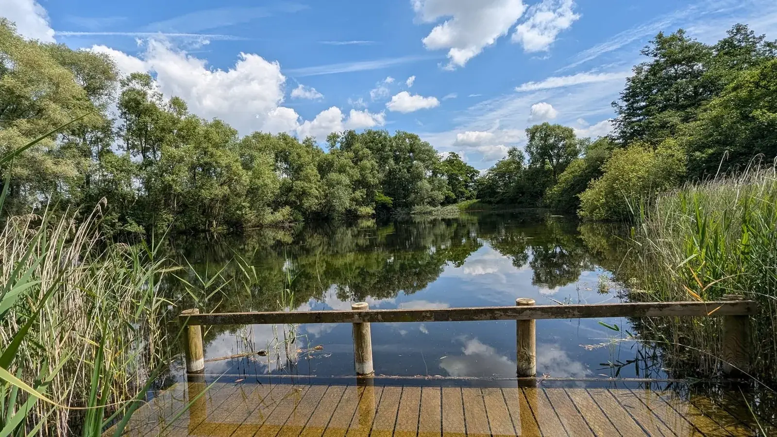 Water, trees and green space in the Drakelow area